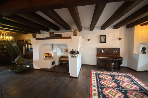 pexels photo 6614203